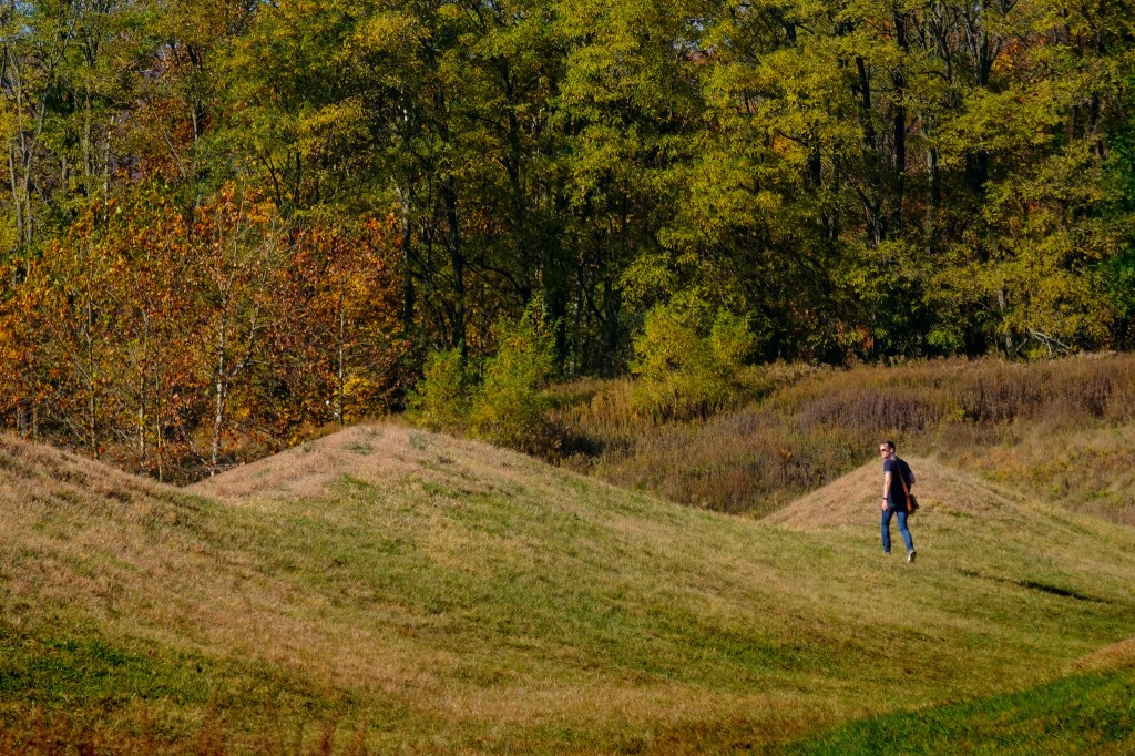 Man walking through the undulating landscape of Maya Lin's Wavefield sculpture at the Storm King Art Center during the fall season